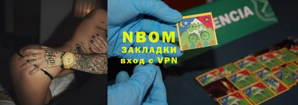 индика Алексин