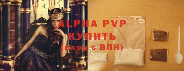 индика Алексин